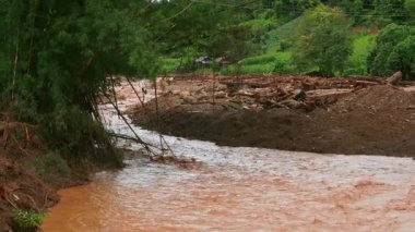 Şiddetli yağış sonrası enkaz ve ağaç dalları taşıyan çamurlu bir sel akıntısı ormanda akıyor..
