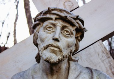 The face of Jesus Christ in a crown of thorns before suffering