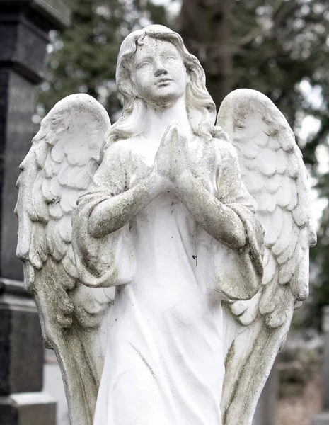 Гарний Ангел Великого Крила Ангел Охоронець Ангел Спасителя — стокове фото