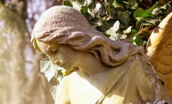 Прекрасне Обличчя Ангела Жінки Милосердя Мир Пам Ятник Хіх Століття — стокове фото