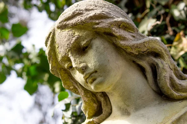 Hermosa Cara Ángel Una Mujer Misericordia Paz Monumento Del Siglo —  Fotos de Stock