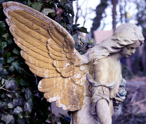 翼を持つ守護天使 祈りと執り成しと楽園 — ストック写真