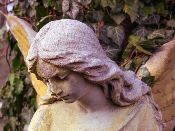 女性の美しい天使の顔 慈悲と平和 作者不詳の19世紀の碑 — ストック写真