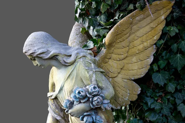 Krásná Andělská Tvář Ženy Milosrdenství Mír Pomník Devatenáctého Století Neznámého — Stock fotografie