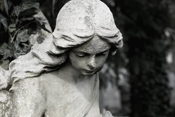 Bellissimo Viso Angelo Una Donna Misericordia Pace Monumento Del Xix — Foto Stock
