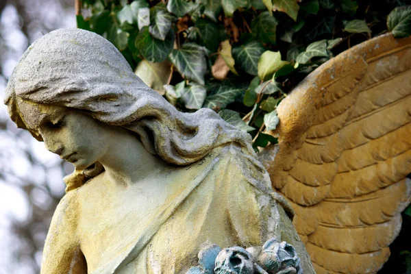 Красивое Ангельское Лицо Женщины Милосердие Мир Памятник Xix Века Неизвестного — стоковое фото