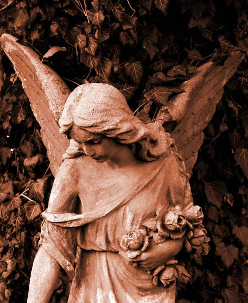 慈悲の表情をした女天使 善と悪 — ストック写真
