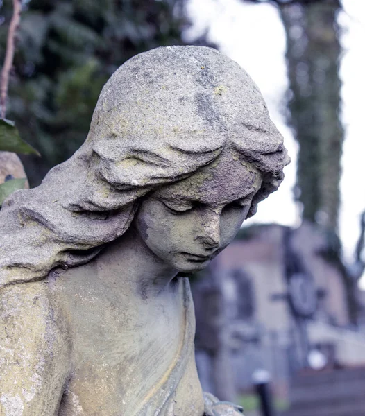 Beautiful angel face of a woman. Mercy and peace. (monument of the nineteenth century by an unknown author)