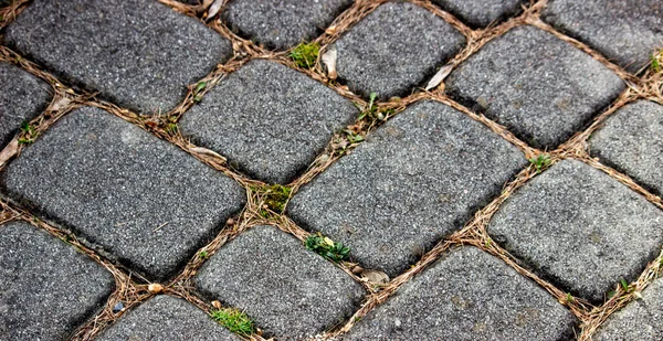 Old Stone Road Cobblestones — Stock Photo, Image