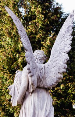 Savaşçı bir melek dünyaya bakar.