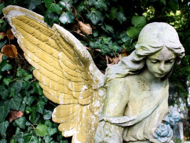 Merhametli bir kadın melek. İyi ve kötü.