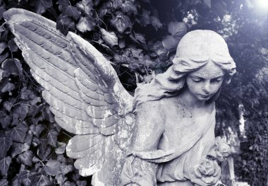 Ay ışığındaki melek kadın. Yakın plan. Alacakaranlık ve gizemcilik