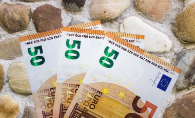 Avro parası yakın plan. Avrupa Birliği 'nin ulusal para birimi