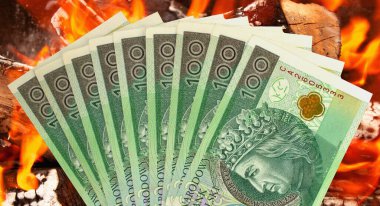 Polonya zloti parası. Yakın plan.