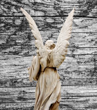 Büyük kanatları ile güzel melek. Koruyucu melek. Melek savior