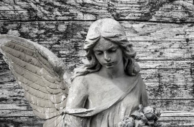 Büyük kanatları ile güzel melek. Koruyucu melek. Melek savior