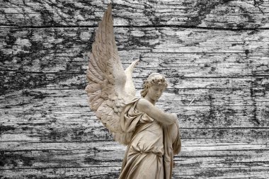 Büyük kanatları ile güzel melek. Koruyucu melek. Melek savior