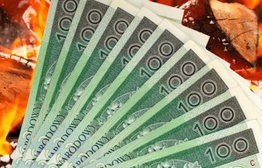 Polonya 'nın ulusal para birimi. Zloti yakın plan