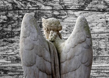 Büyük kanatları ile güzel melek. Koruyucu melek. Melek savior