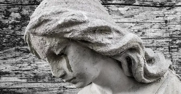 Büyük kanatları ile güzel melek. Koruyucu melek. Melek savior