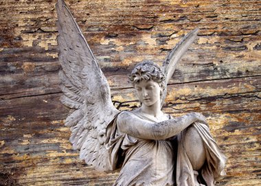 Büyük kanatları ile güzel melek. Koruyucu melek. Melek savior