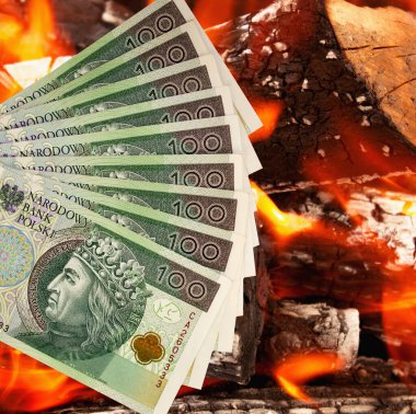 Polonya zloti parası. Yakın plan.