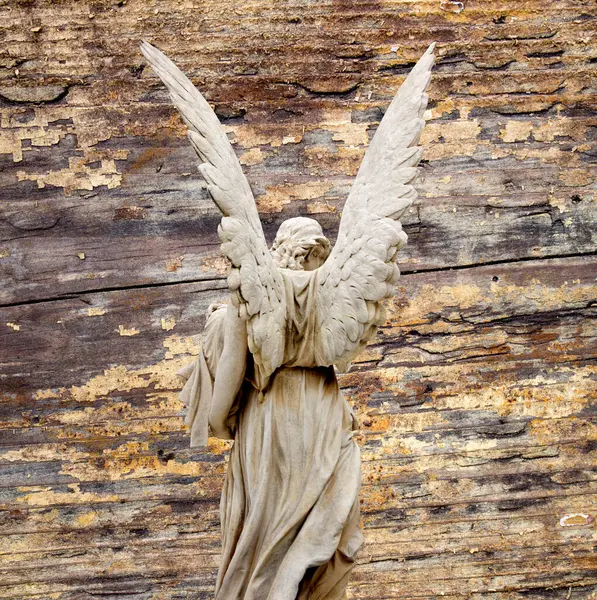 Büyük kanatları ile güzel melek. Koruyucu melek. Melek savior