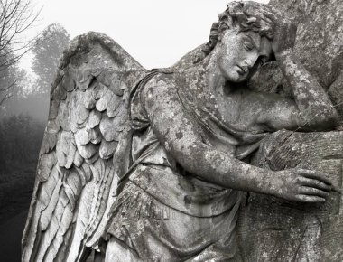 Büyük kanatları ile güzel melek. Koruyucu melek. Melek savior