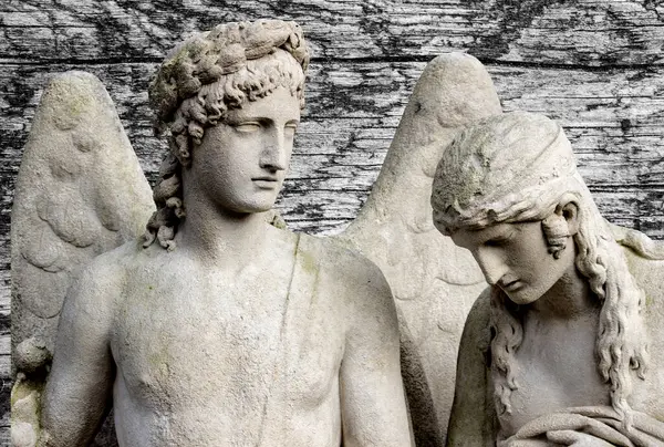 Büyük kanatları ile güzel melek. Koruyucu melek. Melek savior