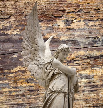 Büyük kanatları ile güzel melek. Koruyucu melek. Melek savior