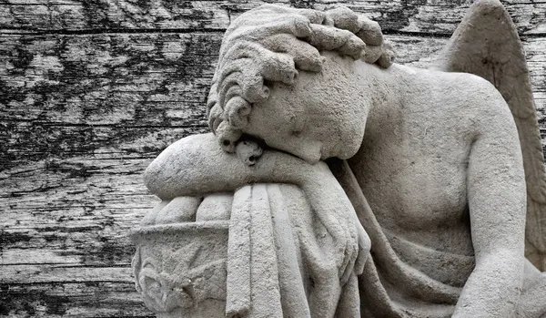 Büyük kanatları ile güzel melek. Koruyucu melek. Melek savior