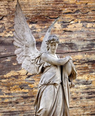 Büyük kanatları ile güzel melek. Koruyucu melek. Melek savior