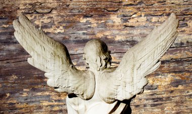 Büyük kanatları ile güzel melek. Koruyucu melek. Melek savior