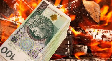 Polonya zloti parası. Yakın plan.