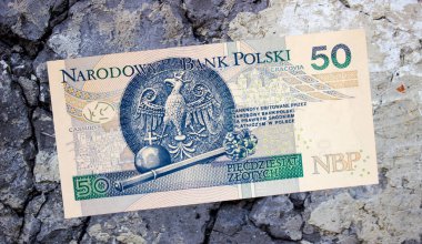 Polonya zloti parası. Yakın plan.