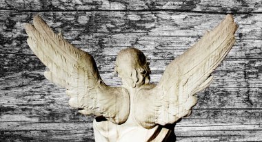 Büyük kanatları ile güzel melek. Koruyucu melek. Melek savior