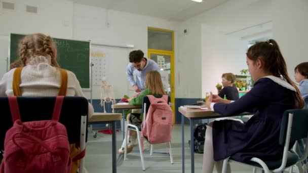 Elementary School Class Children Communicate Teacher Answering Various Questions — Stock video