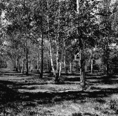 Astana, Kazakistan 'ın sokak fotoğrafları - 02 / 06 / 2021