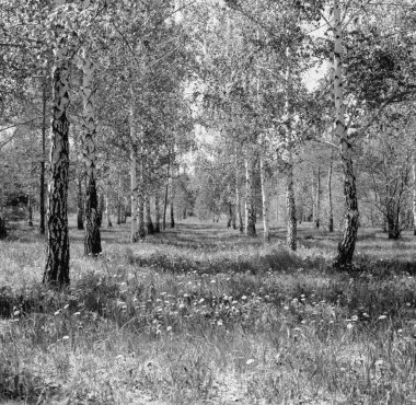 Astana, Kazakistan 'ın sokak fotoğrafları - 02 / 06 / 2021