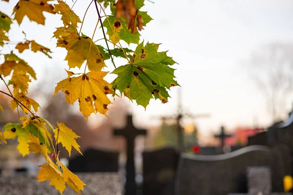 stock image Autumn at the cemetery