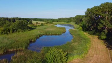 Polanda Wieliszewskie Gölü. İnsansız hava aracı. Yazın Polonya doğası..
