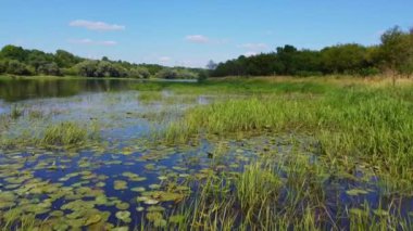 Polonya 'daki Narew Nehri, İHA' dan ateş açıldı.