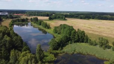 Polonya 'daki Kwietniwka Gölü. İHA atışları. Ağaçlarla çevrili göl. Yazın Polonya 'da doğa