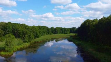 Polonya 'daki Kwietniwka Gölü. İHA atışları. Ağaçlarla çevrili göl. Yazın Polonya 'da doğa