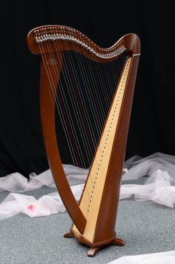 Arp, klasik akustik enstrüman. Tahta enstrüman. Dizgi enstrümanı.