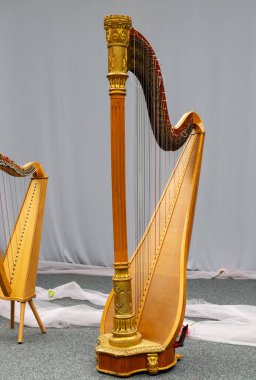 Arp, klasik akustik enstrüman. Tahta enstrüman. Dizgi enstrümanı.
