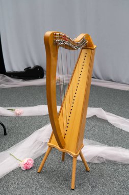 Arp, klasik akustik enstrüman.