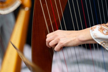 Arp çalan kadın. Arp, klasik ve akustik bir enstrüman..