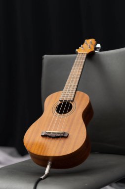 Ukulele, küçük gitar, telli enstrüman