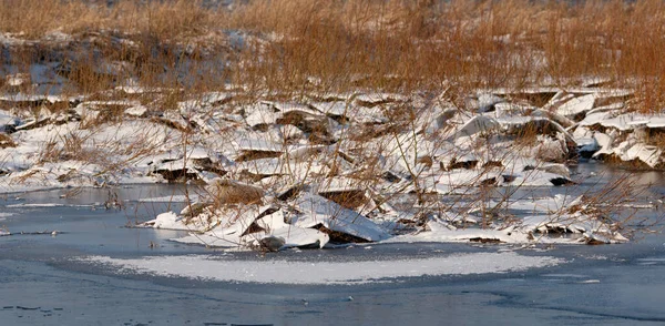 The Narew River in winter.Winter river landscape.